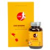 cnd ginseng gold vien nhan sam 1