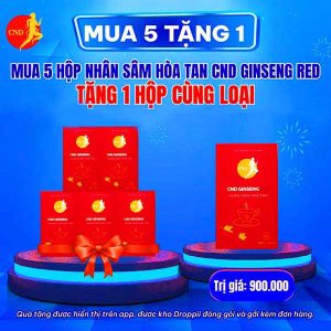 CND GINSENG Red - Năng lượng trọn vẹn, cuộc sống thăng hoa 9 cnd ginseng red 7