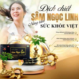 dich chiet sam ngoc linh 15goi 4