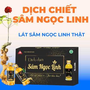 dich chiet sam ngoc linh