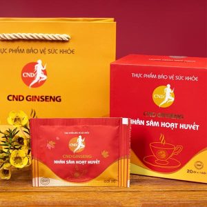 sam cnd ginseng hoat huyet ho tro tuan hoan nao 2