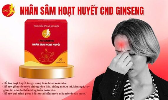 sam cnd ginseng hoat huyet ho tro tuan hoan nao 9