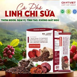 Cà phê bào tử Linh Chi phá vách – Giúp tỉnh táo, Bảo Vệ Gan
