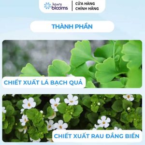 hoat huyet henry blooms ginkgo and brahmi 3000 3