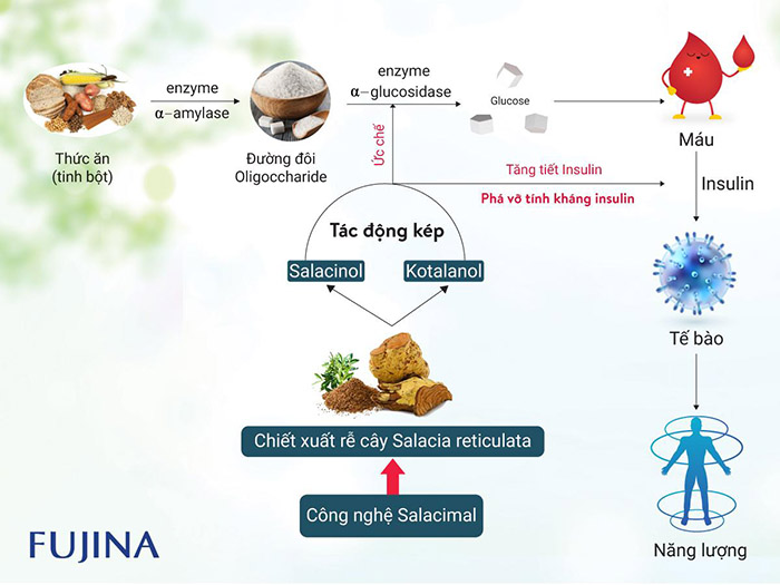 insuna-fujina-ho-tro-on-dinh-duong-huyet-2 insuna-fujina-ho-tro-on-dinh-duong-huyet-2