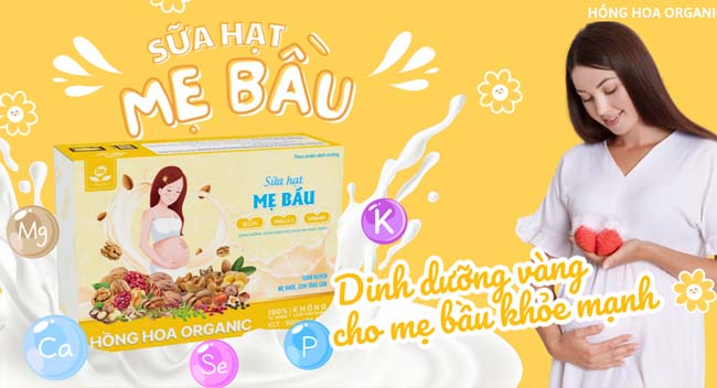 sua-hat-me-bau-hong-hoa-dinh-duong-thai-ky sua-hat-me-bau-hong-hoa-dinh-duong-thai-ky