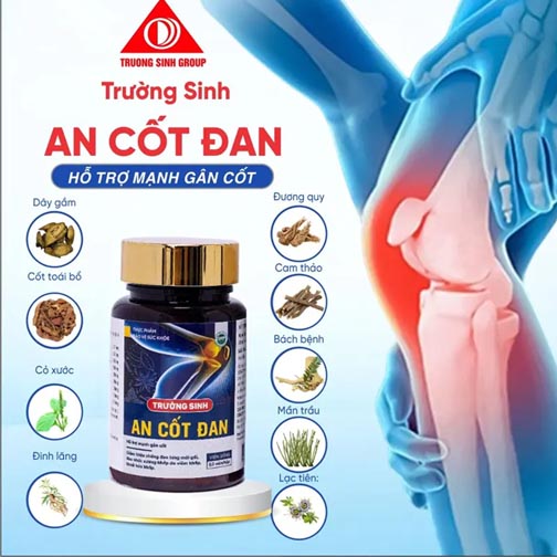 an-cot-dan-giai-phap-ho-tro-xuong-khop-toan-dien-1 an-cot-dan-giai-phap-ho-tro-xuong-khop-toan-dien-1