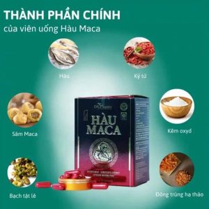 Hàu Maca Hỗ Trợ Sinh Lý Nam Giới - Ảnh 3