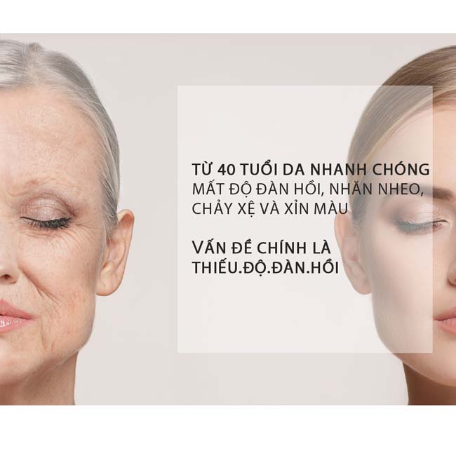jeudemeure-dermishuttle jeudemeure-dermishuttle
